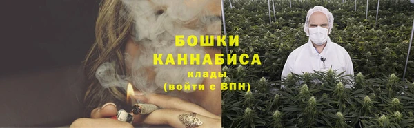 apvp Осташков