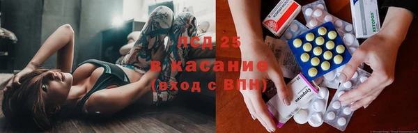 apvp Осташков