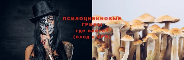 mdpv Янаул