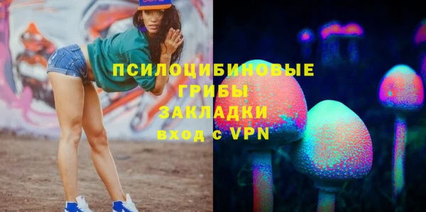 apvp Осташков
